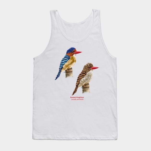 Banded kingfisher | Lacedo pulchella ⚥ Tank Top by bona 